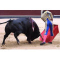 Spagna